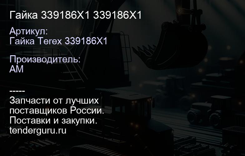 Гайка 339186X1 339186X1 | купить запчасти